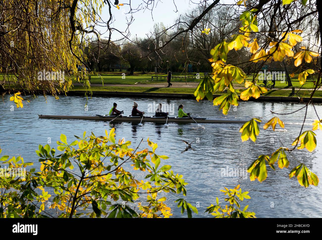 Les femmes rameurs s'entraîner sur la rivière Avon à l'automne, Stratford-upon-Avon, Warwickshire, Angleterre, Royaume-Uni Banque D'Images