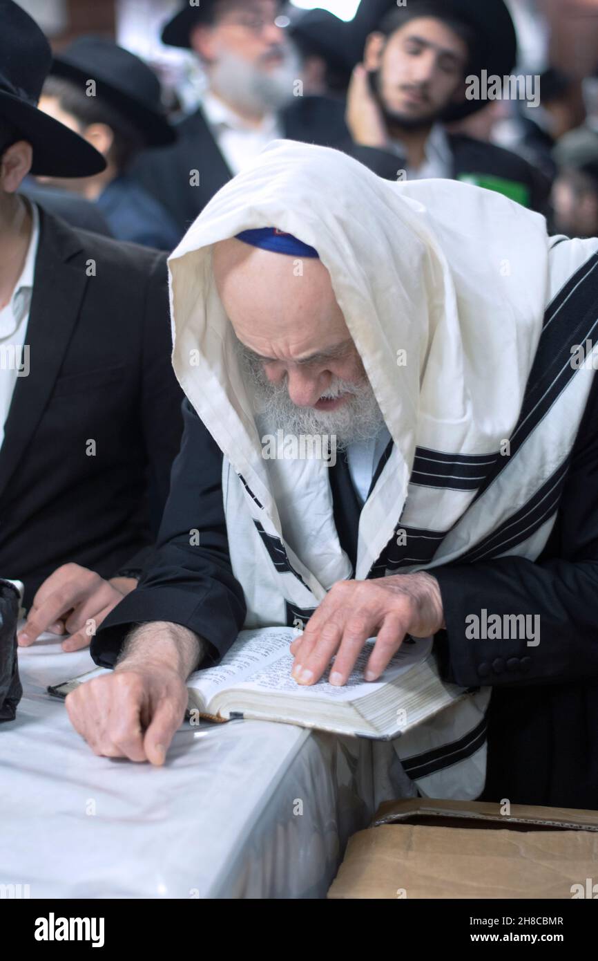 Sur Succos, un juif orthodoxe portant un châle de prière, prie tout en gardant sa place avec ses doigts.À Crown Heights, Brooklyn, New York. Banque D'Images