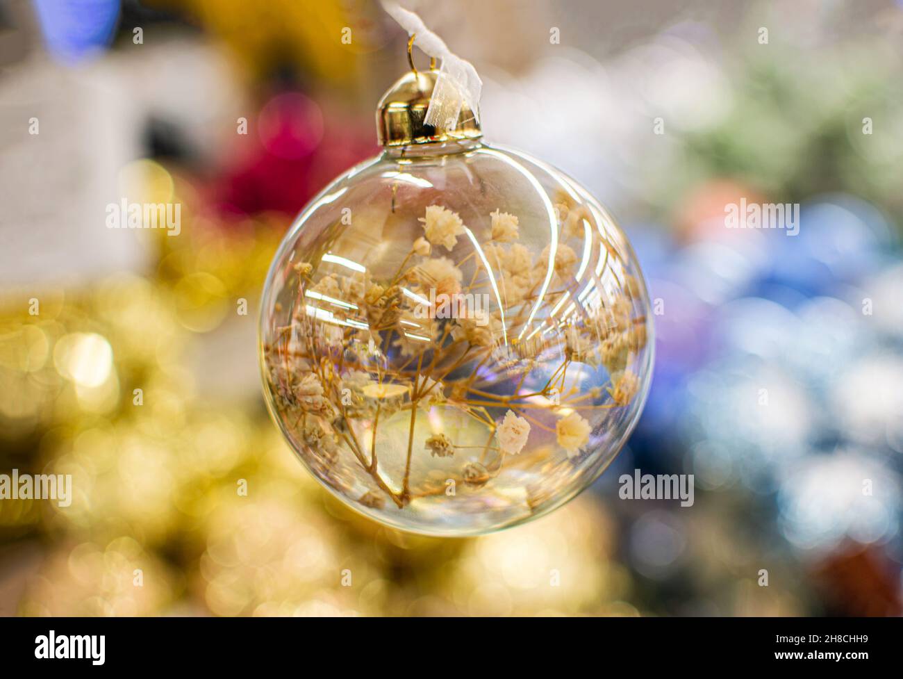 Boule en verre transparent avec fleurs séchées, décoration de Noël décoration de Noël gros plan, jouet arbre Banque D'Images