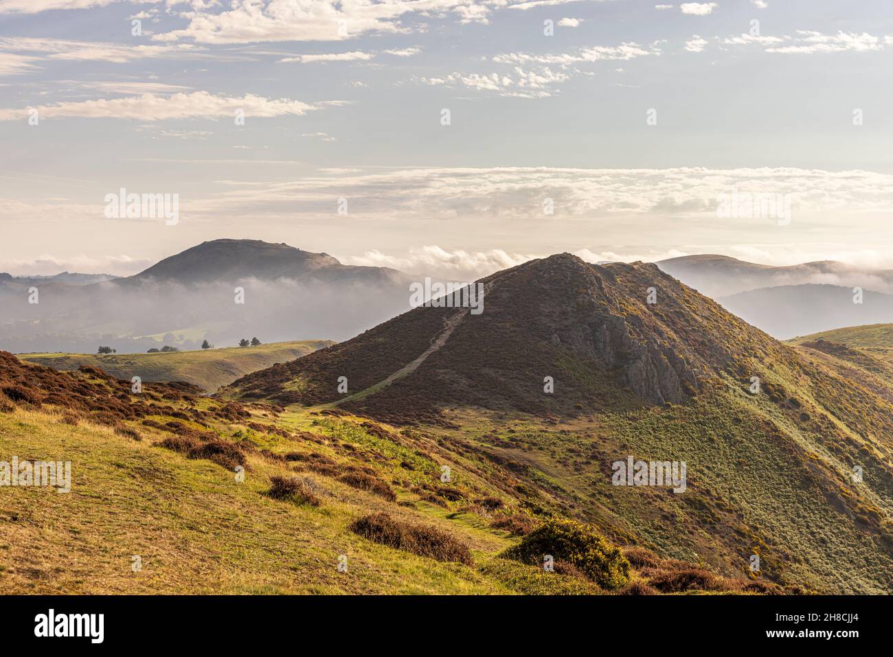 Long Mynd Bur, tôt le matin dans la région de la beauté naturelle, Shropshire collines, Angleterre Banque D'Images