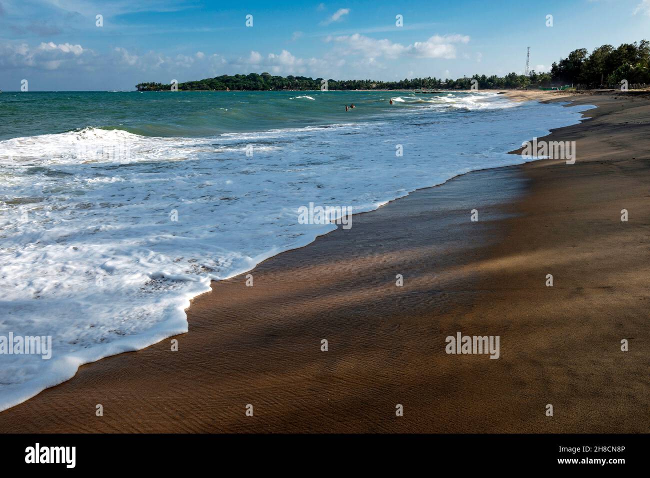 Sri Lanka, la province d'Ampara, la province d'Ampara, la province d'Ampara, Pottuvil,ville, Staadt, ville, Arugam Bay, océan,Ozean, océan, palmiers, Palme Banque D'Images