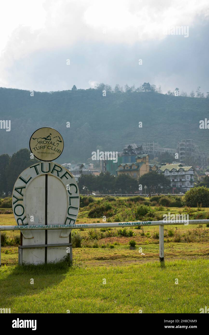 Sri Lanka, province du centre, province Centrale, Nuwara Eliya, Nurelia,La petite Angleterre, ville, Staadt, ville, hippodrome,Pferderennbahn, hippodro Banque D'Images