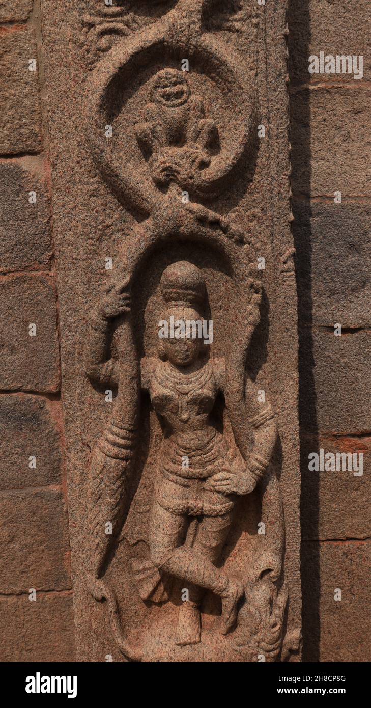 La tour royale date probablement de la période de Vijayanagara.Belle sculpture d'une femme.Et quelques belles sculptures.C'est un unfinis Banque D'Images