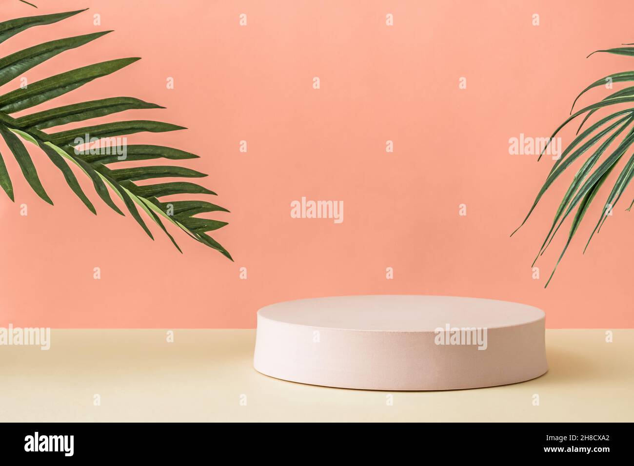 Fond de présentation artistique avec un podium blanc rond entre les feuilles vertes contre fond rose pastel pour l'espace de copie comme concept de sérénité Banque D'Images