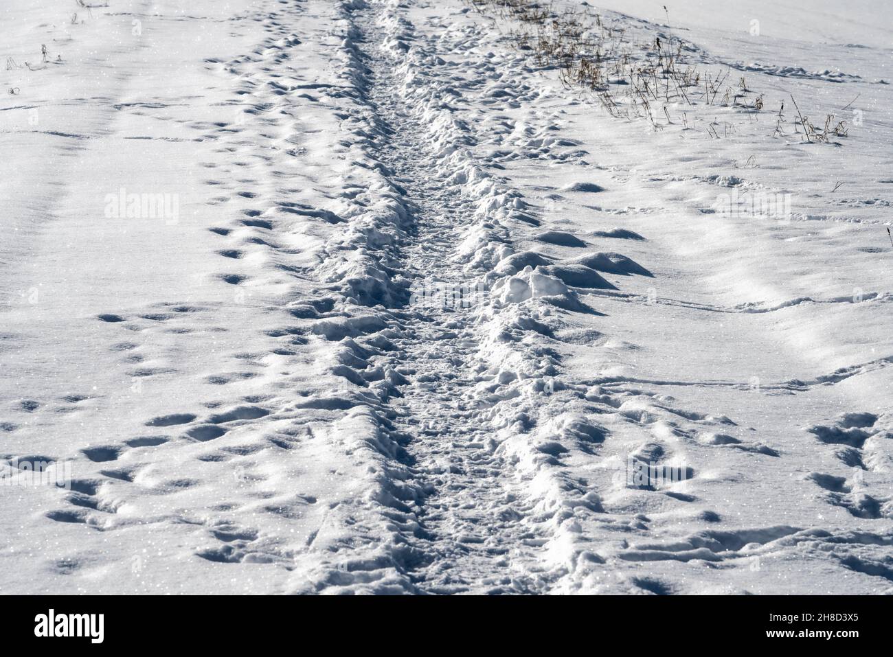 Piste cyclable R1 en hiver, près de Gewissenruh, Wesertal, Weser Uplands, Weserbergland,Hesse, Allemagne Banque D'Images