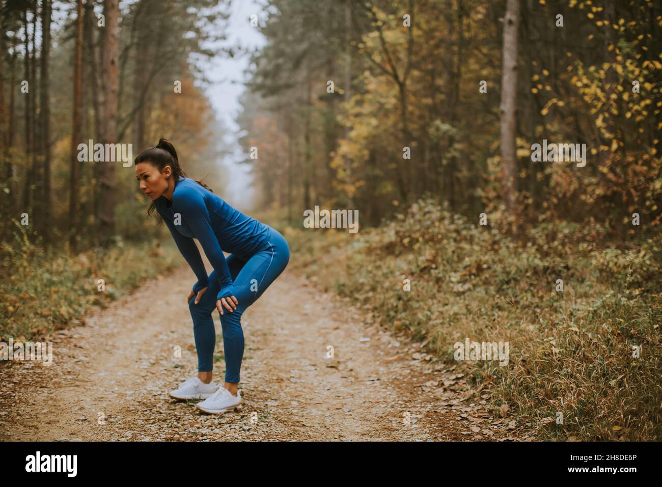 Une jolie jeune femme fait une pause lors d'un exercice en plein air sur le sentier forestier à l'automne Banque D'Images