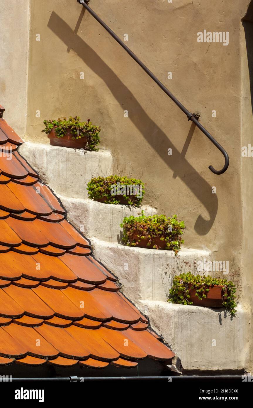 Des plantes en pot colorées sur un ensemble de quatre marches à côté du toit en terre cuite d'une minuscule ancienne maison de garde dans la Golden Lane du château de Prague Banque D'Images