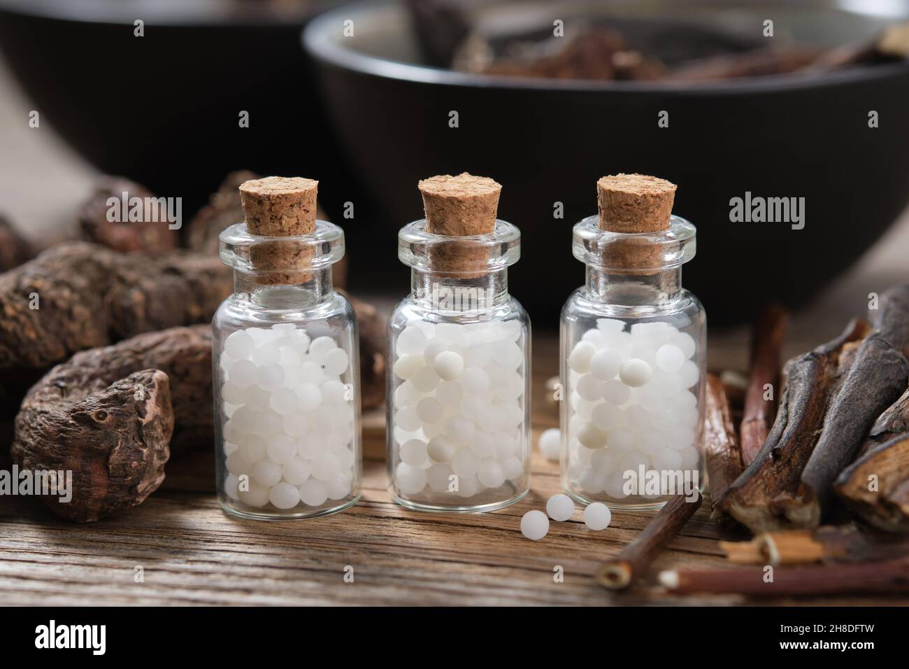 Trois bouteilles de granulés homéopathiques.Persicaria bistorta et racines communes de comfrey ou symphytum officinale.Concept de médecine d'homéopathie. Banque D'Images
