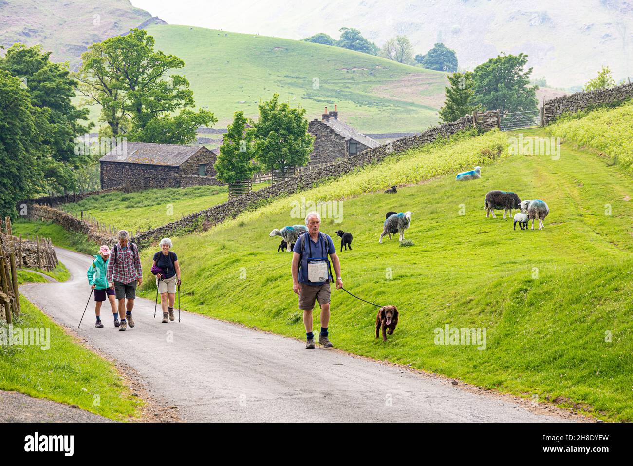 Les randonneurs profitent d'une promenade sur une voie dans le quartier des lacs anglais à Martindale, Cumbria, Royaume-Uni Banque D'Images