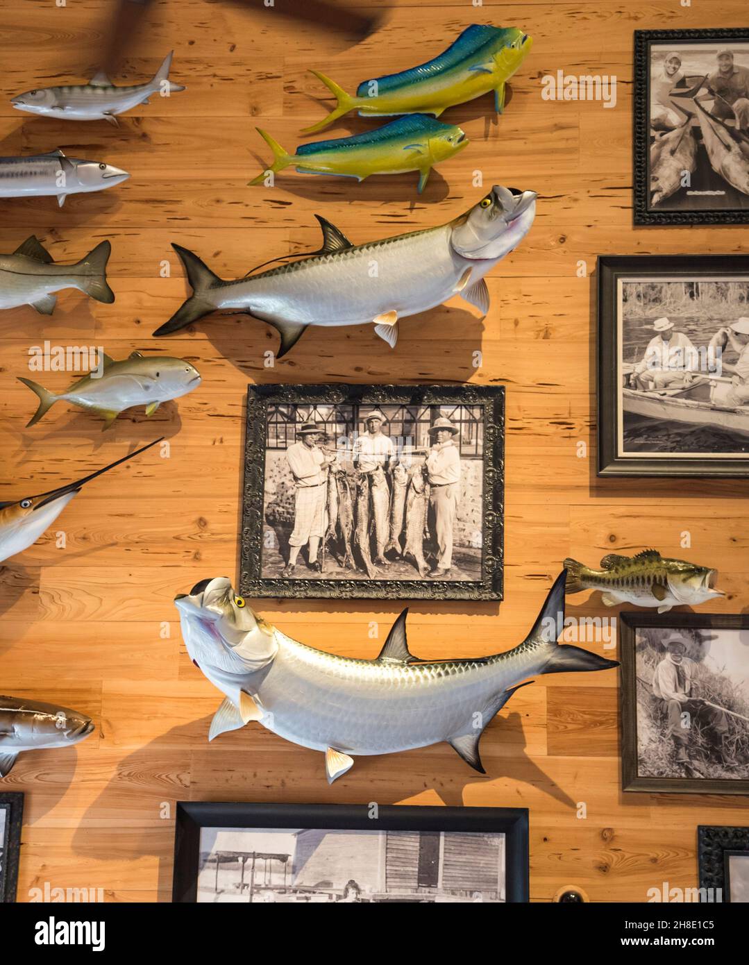 Exposition de pêche complète avec de vieilles photos et poissons montés à l'intérieur d'un magasin de loisirs en plein air dans le centre-nord de la Floride. Banque D'Images