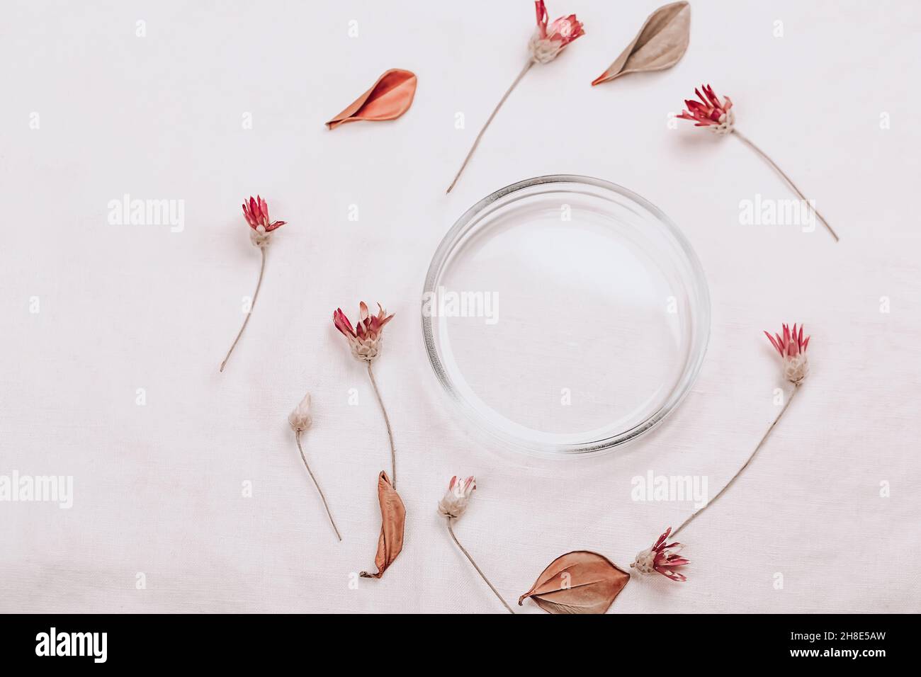 Laboratoire cosmétique abstrait. Fond blanc lin organique.Cosmétiques naturels pour les soins, homéopathie.Style plat, vue de dessus. Banque D'Images