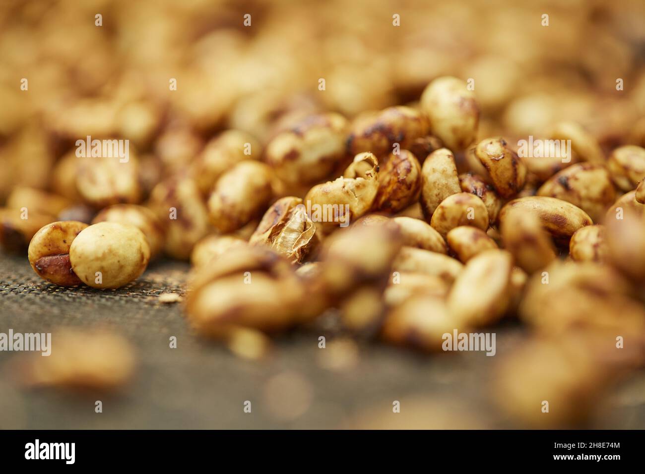 Gros plan d'une pile de grains de café frais crus pendant le traitement du miel Banque D'Images