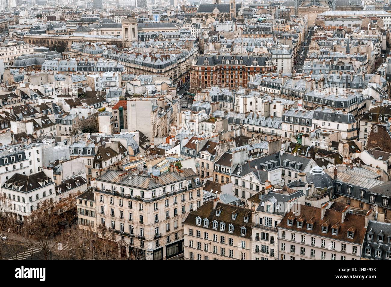 Les toits gris de Paris de notre-Dame, France Banque D'Images