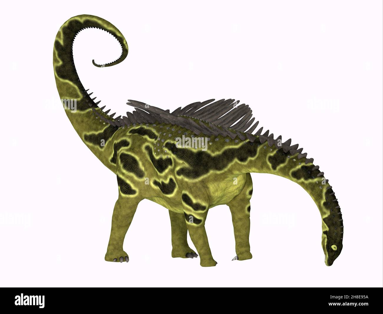Agustinia était un dinosaure sauropode blindé qui vivait en Amérique du Sud pendant la période du Crétacé. Banque D'Images