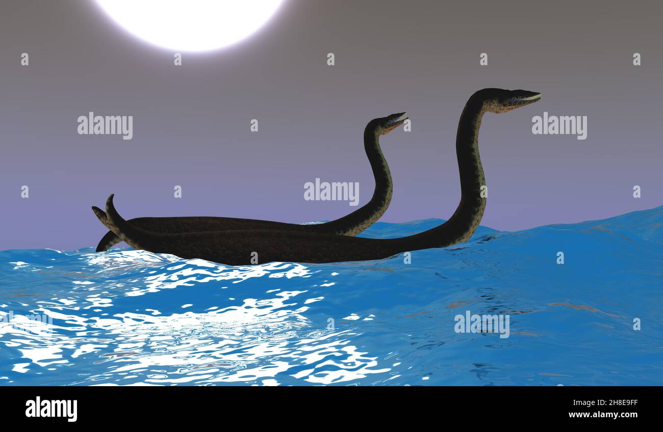 Deux reptiles carnivores du Plesiosaurus s'amusent sur les vagues de l'océan lors d'une nuit au clair de lune. Banque D'Images
