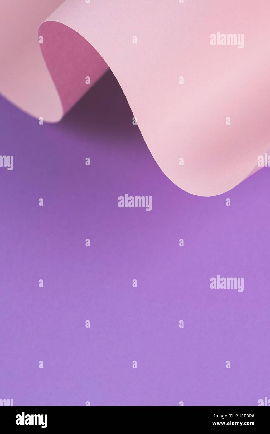 Vague abstraite de papier rose pastel et violet.Papier courbe géométrique créatif avec lumière et ombres.Arrière-plan de géométrie abstraite avec espace de copie Banque D'Images