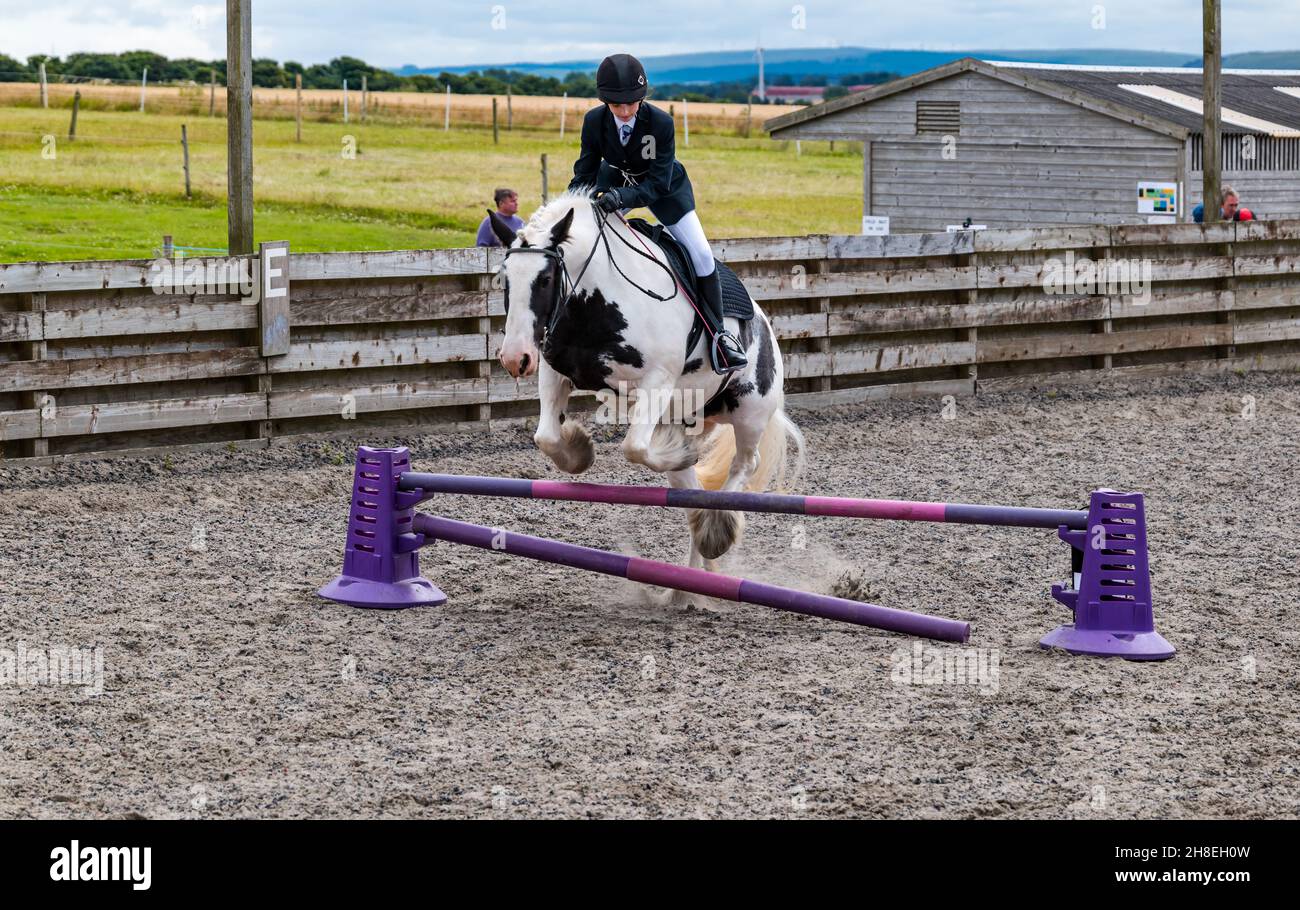 Fille à cheval saut au-dessus des sauts à cheval dans l'arène à l'épreuve de cheval d'été, East Lothian, Écosse, Royaume-Uni Banque D'Images