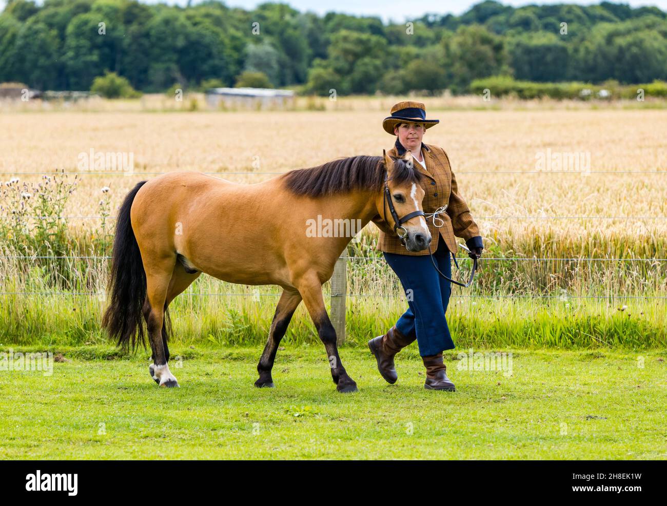 Femme à la tête du cheval lors de l'événement équestre d'été en plein air, East Lothian, Écosse, Royaume-Uni Banque D'Images