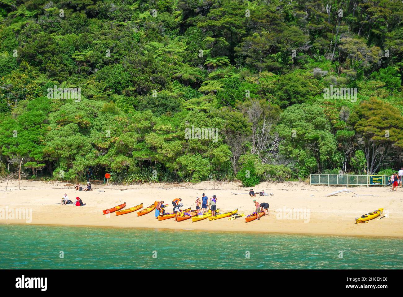 Kayaks sur la plage, baie de Tonga, parc national d'Abel Tasman, Tasman, Île du Sud, Nouvelle-Zélande Banque D'Images