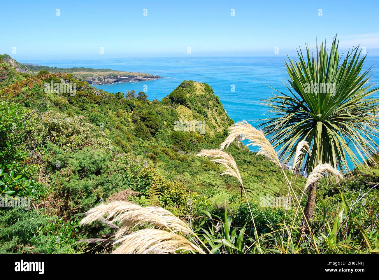 Vue côtière, Paparoa National Park, West Coast, South Island, New Zealand Banque D'Images