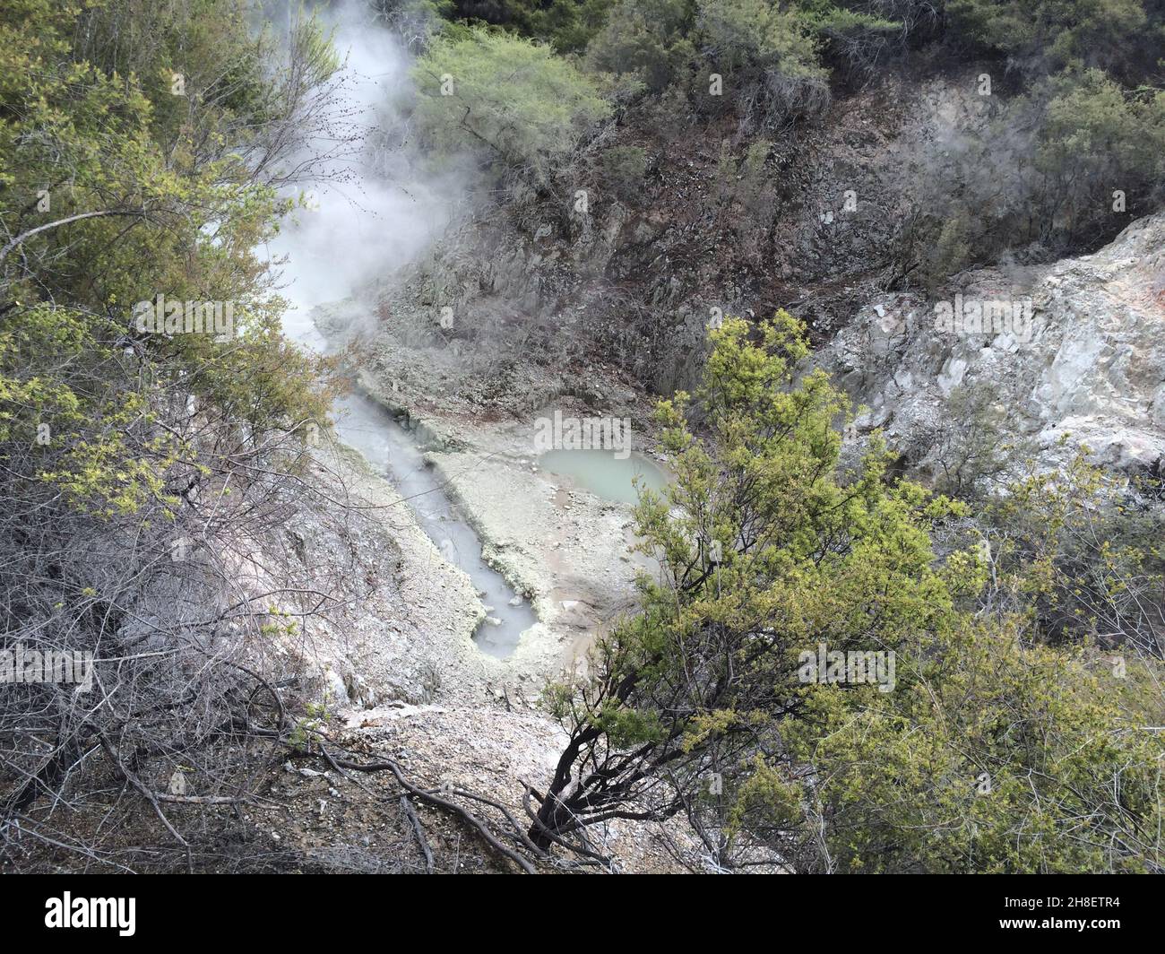 Belle vue sur le geyser avec des arbres et des étangs Banque D'Images