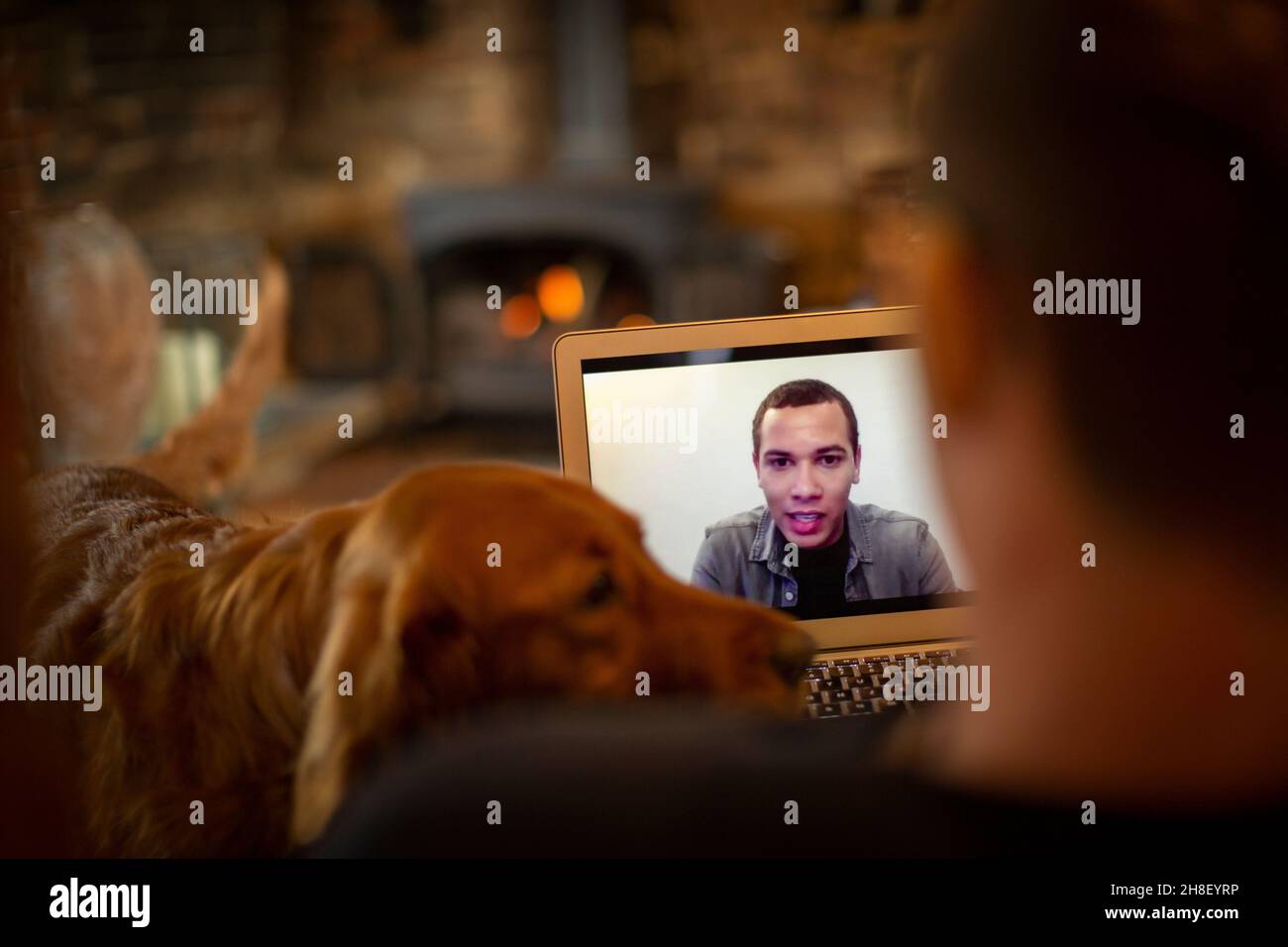 Homme avec chien chat vidéo avec un collègue sur l'écran de l'ordinateur portable Banque D'Images