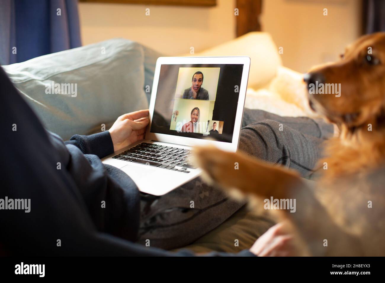 Visioconférences homme avec chien avec des collègues sur ordinateur portable de la maison Banque D'Images