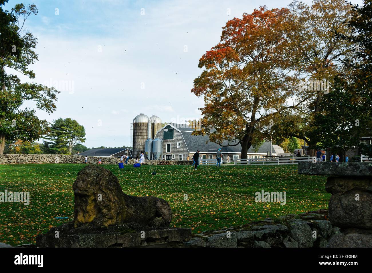 Les familles et les amis se rassemblent pour s'amuser et jouer dans un parc ouvert au début de l'heure d'or à Appleton Farms - Ipswich, Massachusetts Banque D'Images