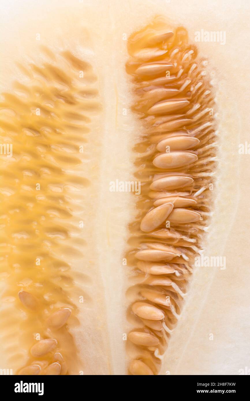 gros plan de la tranche de melon, cucumis melo, fruits comestibles à base de plantes, macro Banque D'Images
