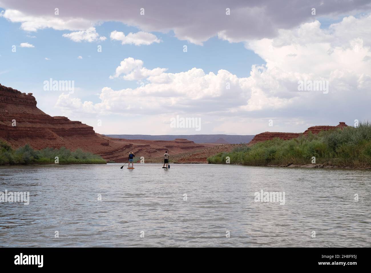 Montez le paddleboard (en supant) sur la rivière San Juan à travers le monument national Bears Ears, Utah, avec un ciel magnifique et étendu. Banque D'Images