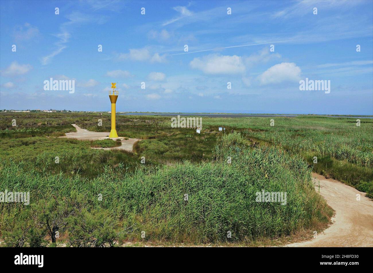 Embouchure de l'Èbre dans la région de Baix Ebre province de Tarragone, Catalogne, Espagne Banque D'Images