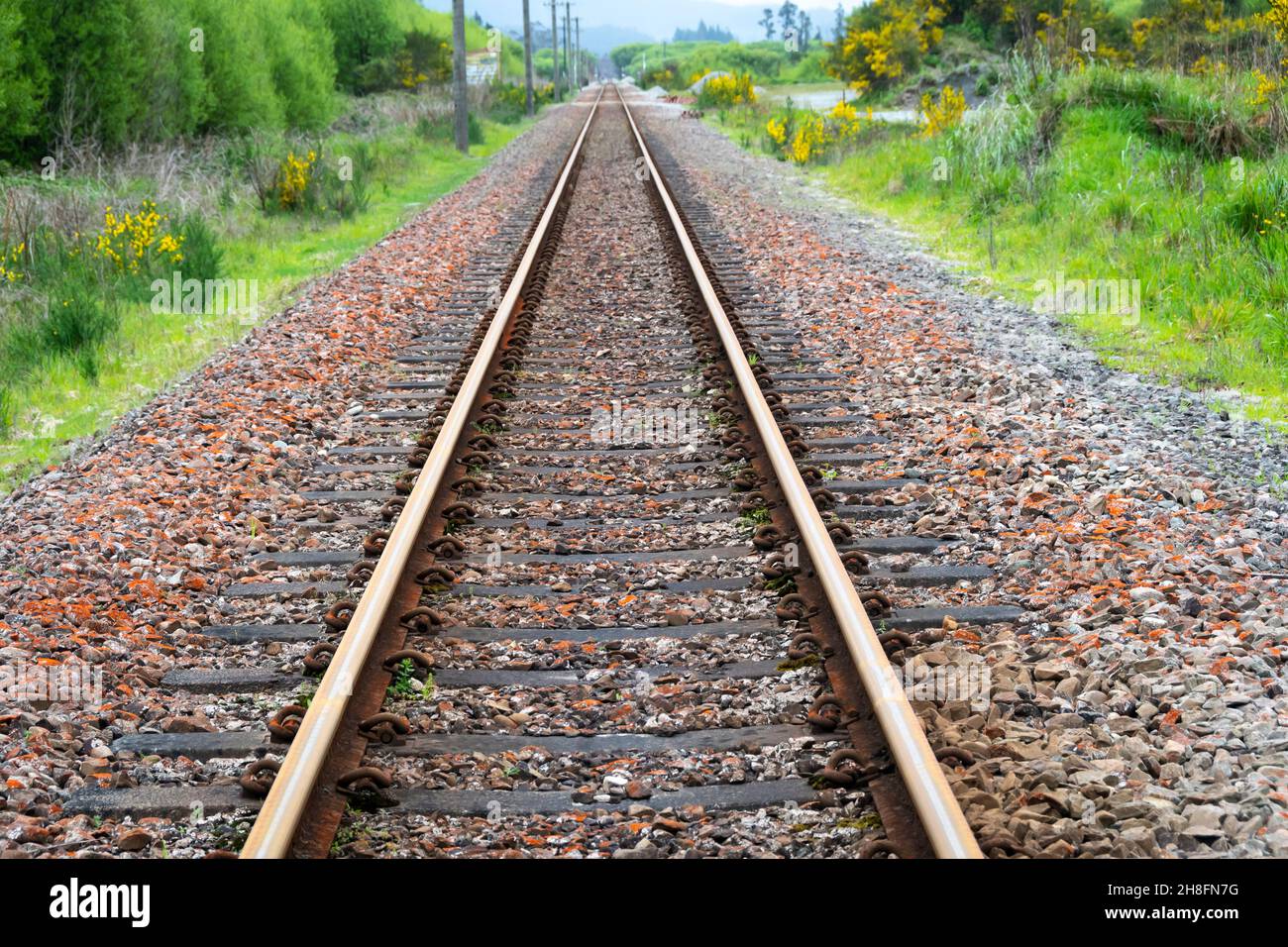 Ligne de chemin de fer droite près de Moana, Westland, South Island, Nouvelle-Zélande Banque D'Images