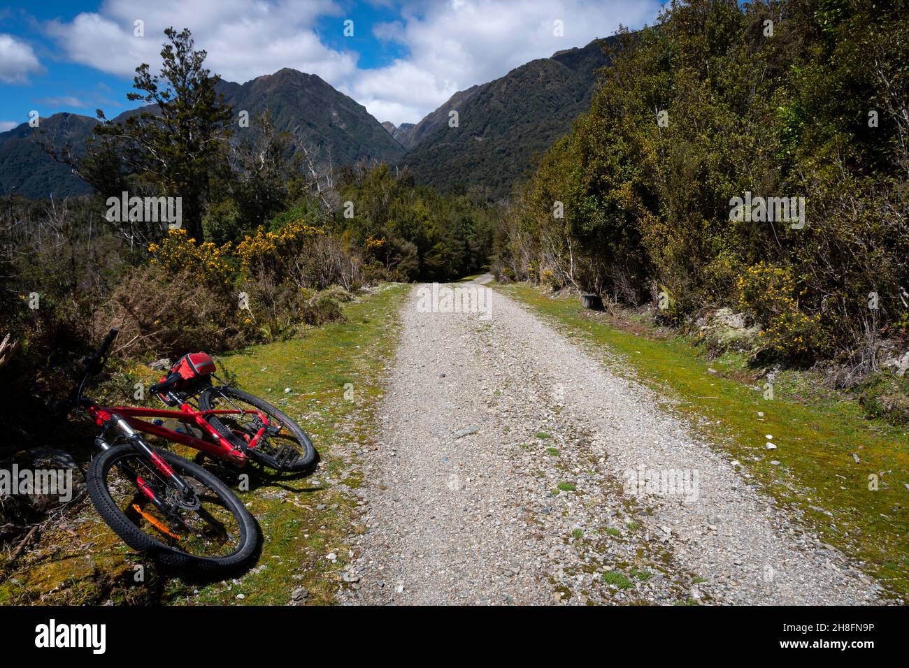 West Coast Wilderness Trail, South Island, Nouvelle-Zélande Banque D'Images