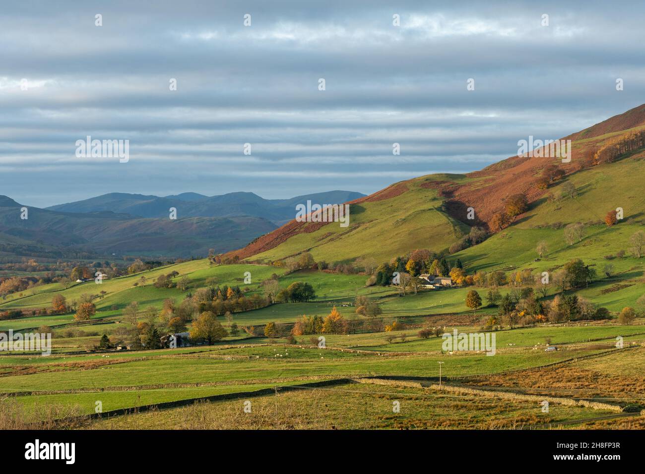 Vue d'automne le matin de Mungrisdale dans le parc national de Lake District, Cumbria, Angleterre, Royaume-Uni Banque D'Images