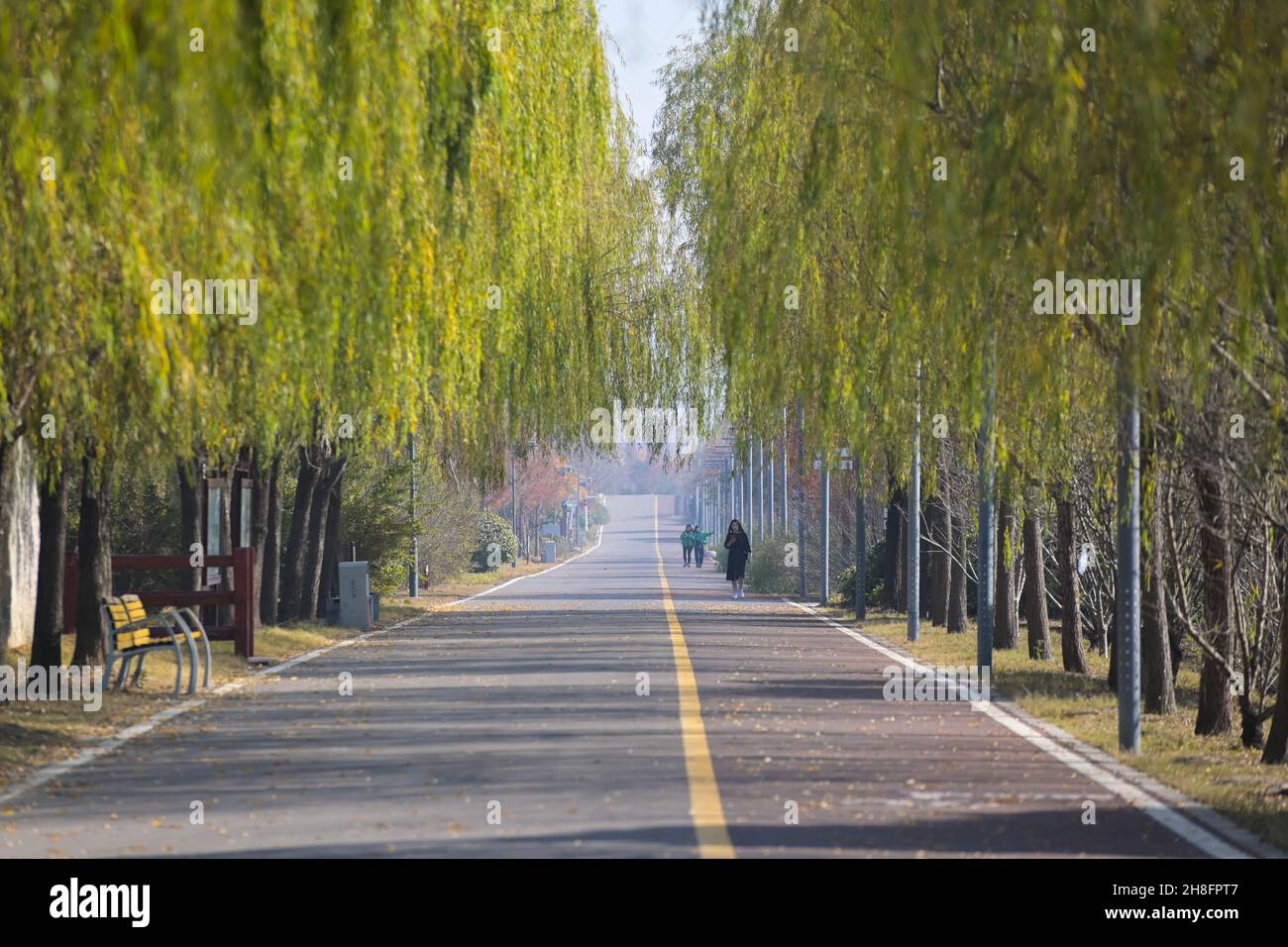 Huaibei, province chinoise d'Anhui.25 novembre 2021.Les gens font une promenade au parc de terres humides de Nanhu à Huaibei, province d'Anhui, en Chine orientale, le 25 novembre 2021.Les autorités locales de Huaibei ont fait des efforts pour transformer la zone de subsidence de la collierie en parcs écologiques.Credit: Han Xu/Xinhua/Alay Live News Banque D'Images