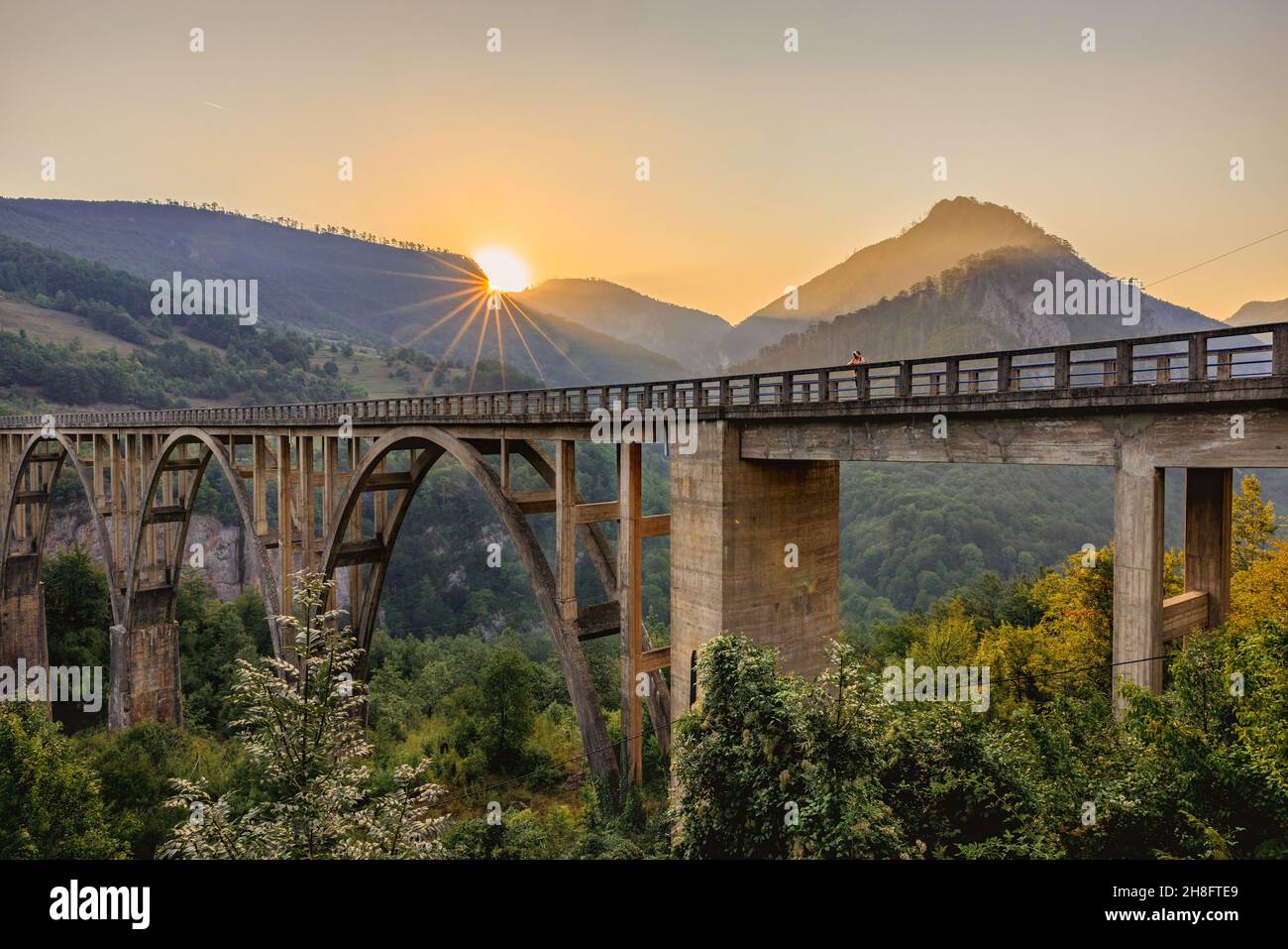 Pont sur le canyon de la rivière Tara dans le nord du Monténégro. Banque D'Images