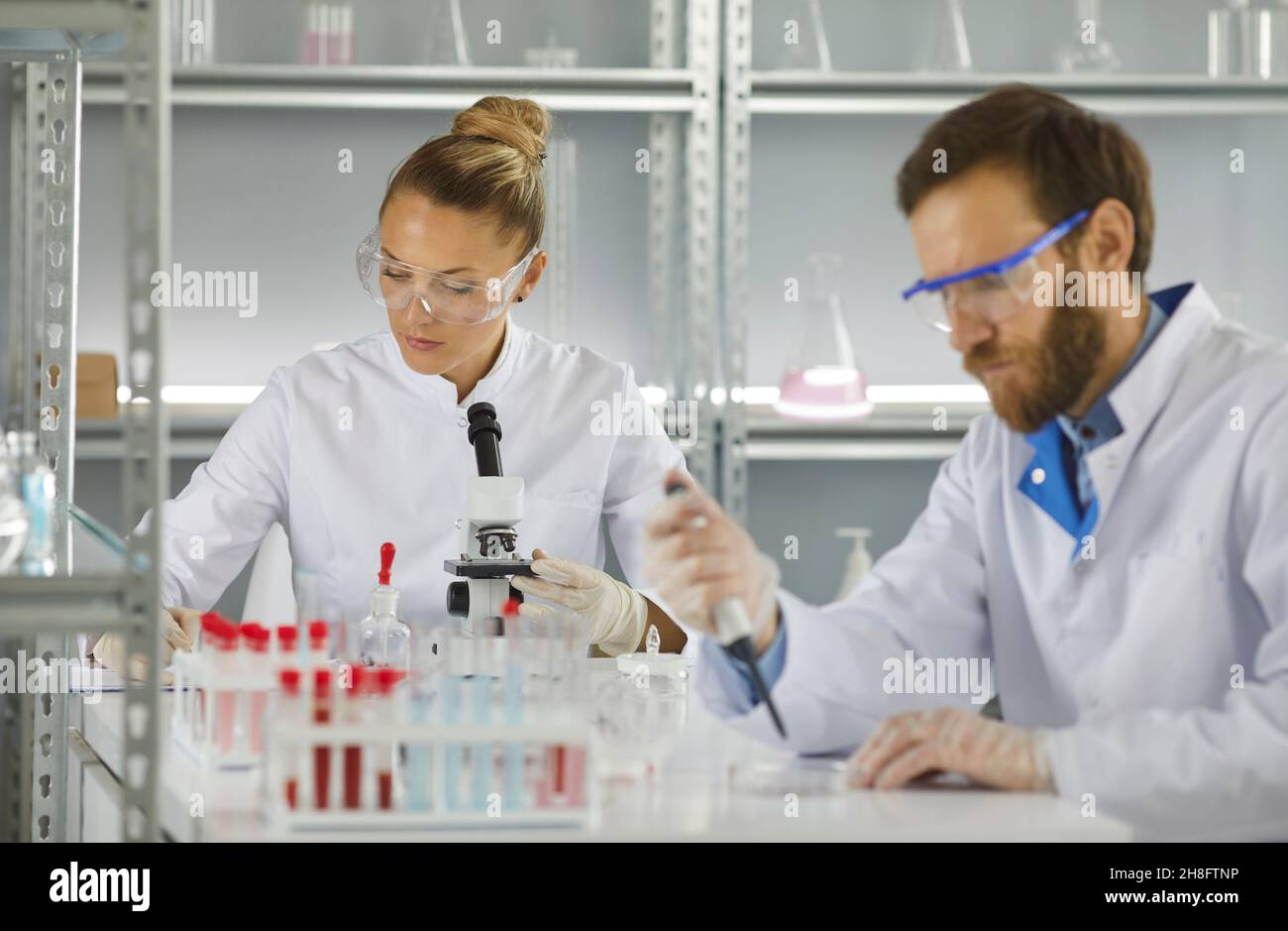 Les scientifiques du laboratoire étudient les micro-organismes au microscope en prenant un échantillon à l'aide d'une pipette. Banque D'Images