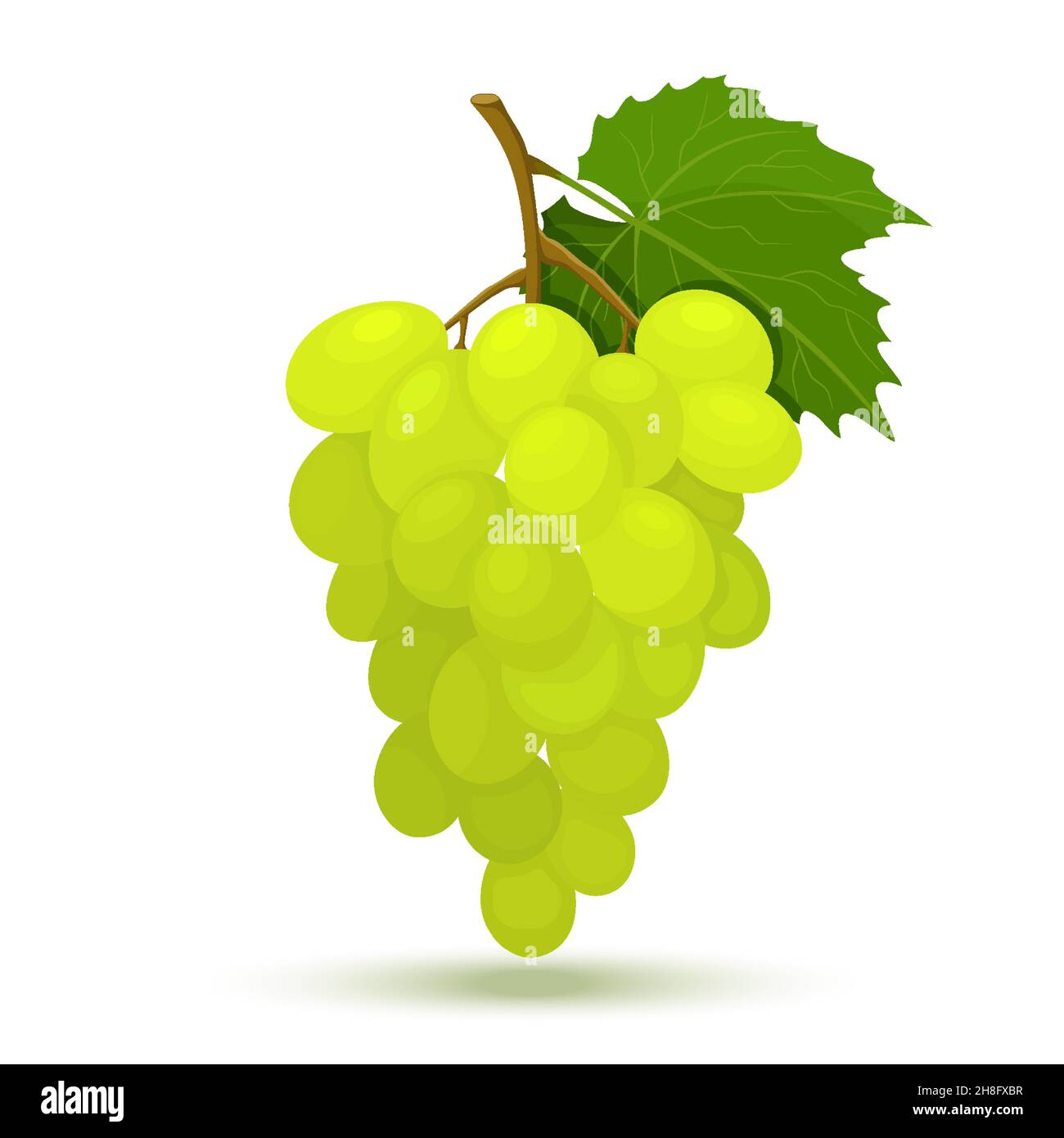 Bouquet de raisins jaunes ou verts avec des feuilles de vigne.Illustration vectorielle plate isolée sur fond blanc, style minimaliste, fruits frais crus Illustration de Vecteur