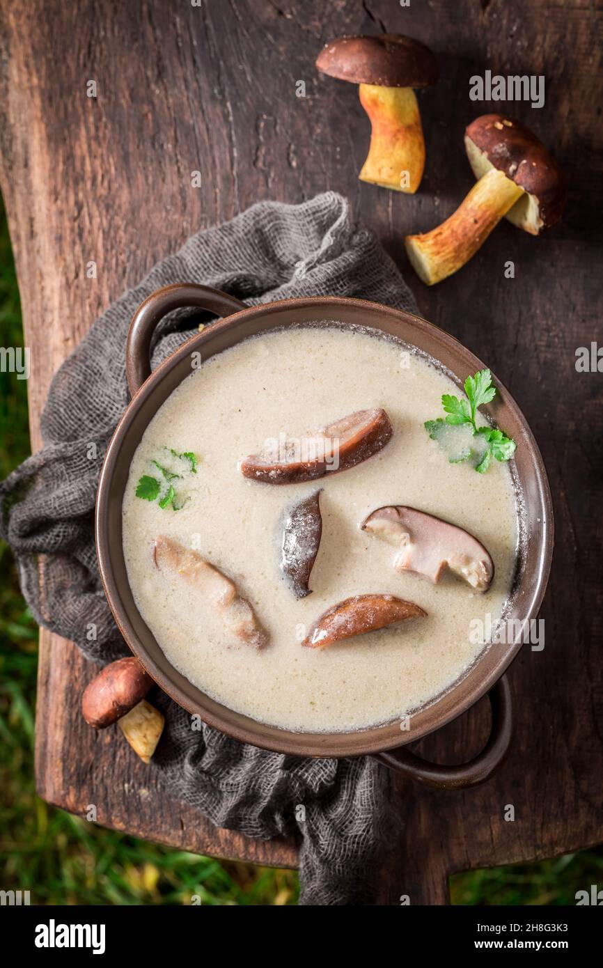 Crème de boletus maison avec persil et crème.Soupe crémeuse Boletus.Soupe de champignons nobles. Banque D'Images