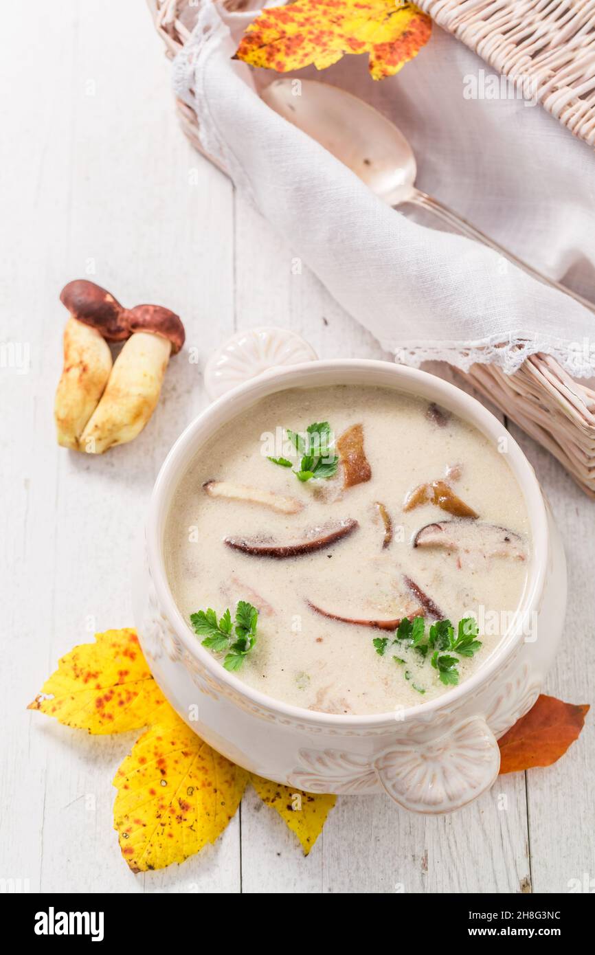 Crème de boletus maison aux champignons nobles.Soupe crémeuse aux champignons.Soupe de champignons nobles. Banque D'Images