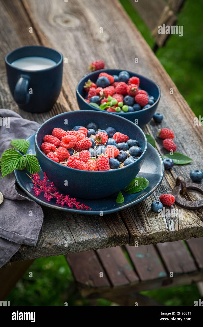 Savoureux granola avec lait et baies.Petit déjeuner dans le jardin d'été.Petit déjeuner sain et savoureux. Banque D'Images
