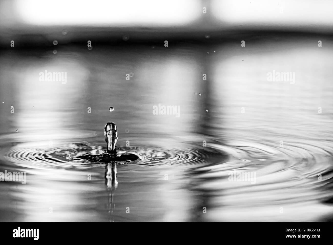 Gros plan en niveaux de gris des gouttes d'eau, appareil photo haute vitesse avec effets de cercles Banque D'Images