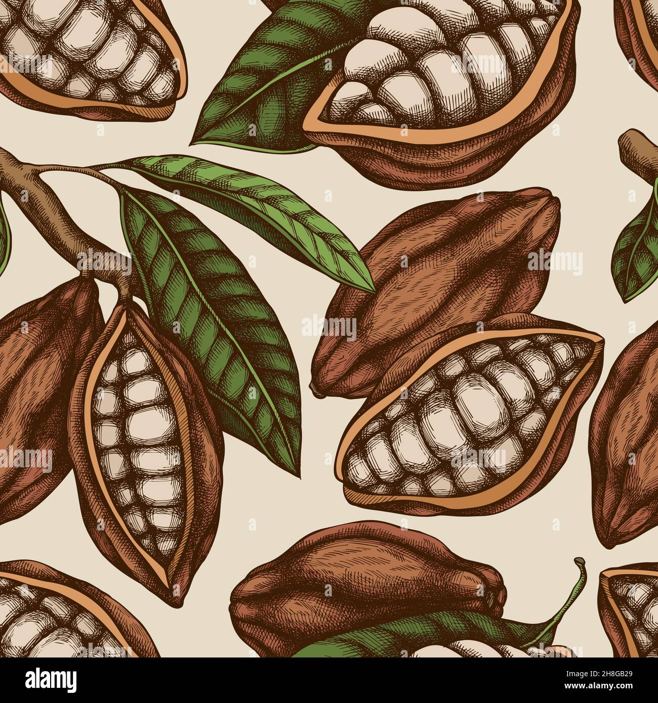 Motif sans couture avec cacao de couleur dessiné à la main Illustration de Vecteur