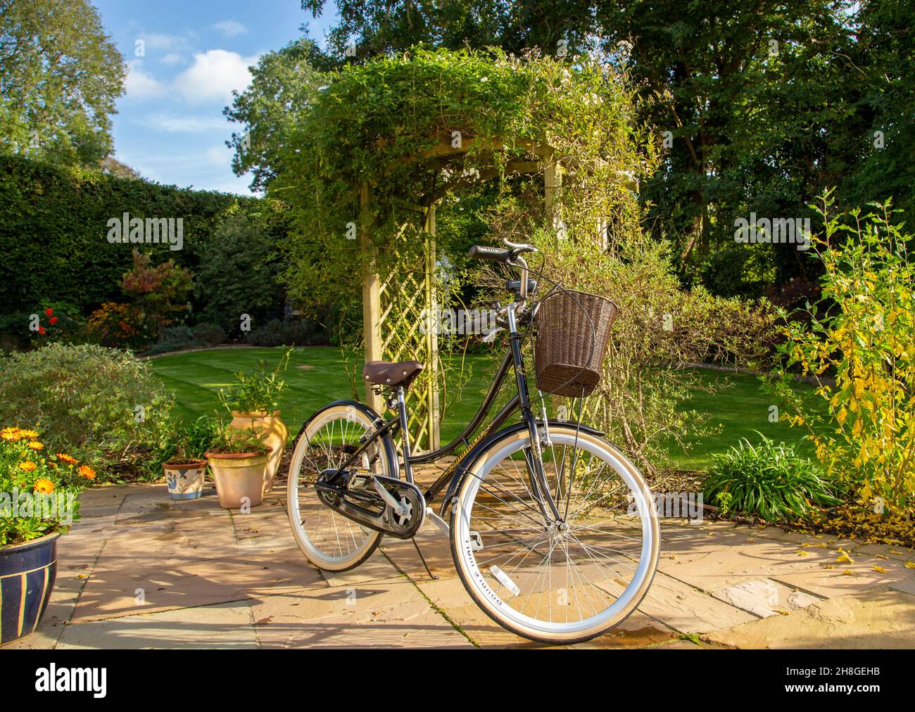 Ammaco « Hollande » femmes vélo de style hollandais dans un joli jardin à côté d'une arche, avec panier devant le guidon. Banque D'Images