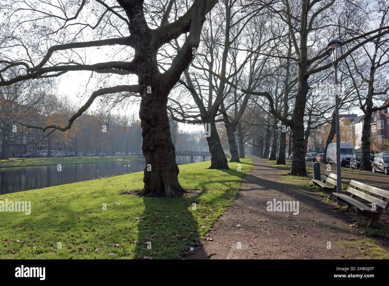 Parc de la ville et stockage de l'eau à Rotterdam Banque D'Images
