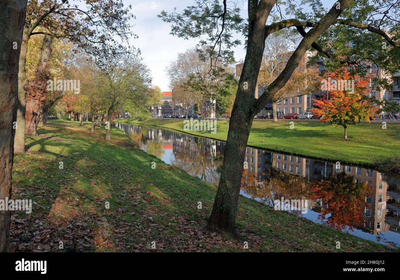 Parc de la ville et stockage de l'eau à Rotterdam Banque D'Images