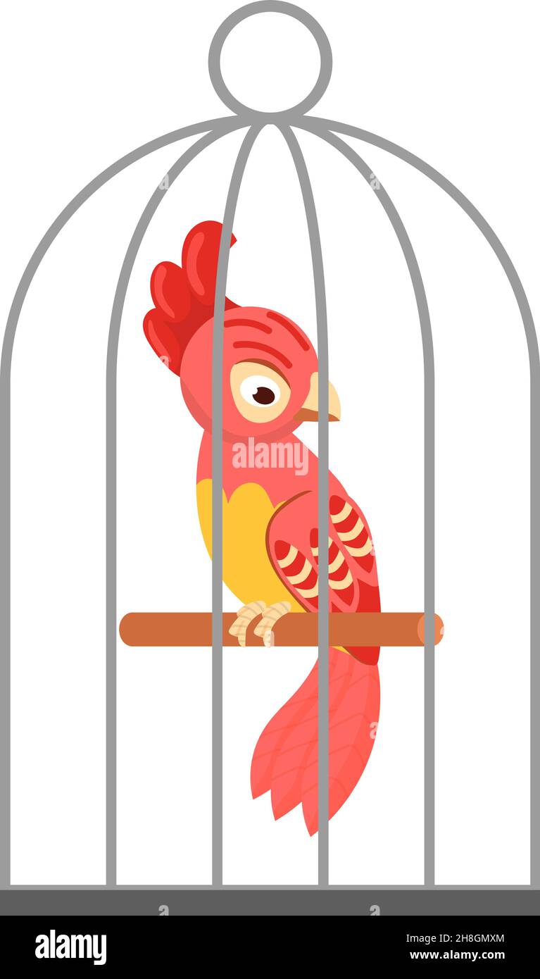 Parrot cage cartoon Banque de photographies et d'images à haute résolution  - Alamy