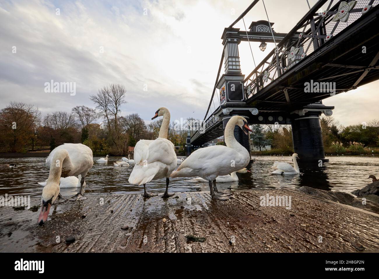 Ferry Bridge, Burton Upon Trent, pont piétonnier victorien au-dessus de la rivière Trent dans le Staffordshire, Angleterre Banque D'Images
