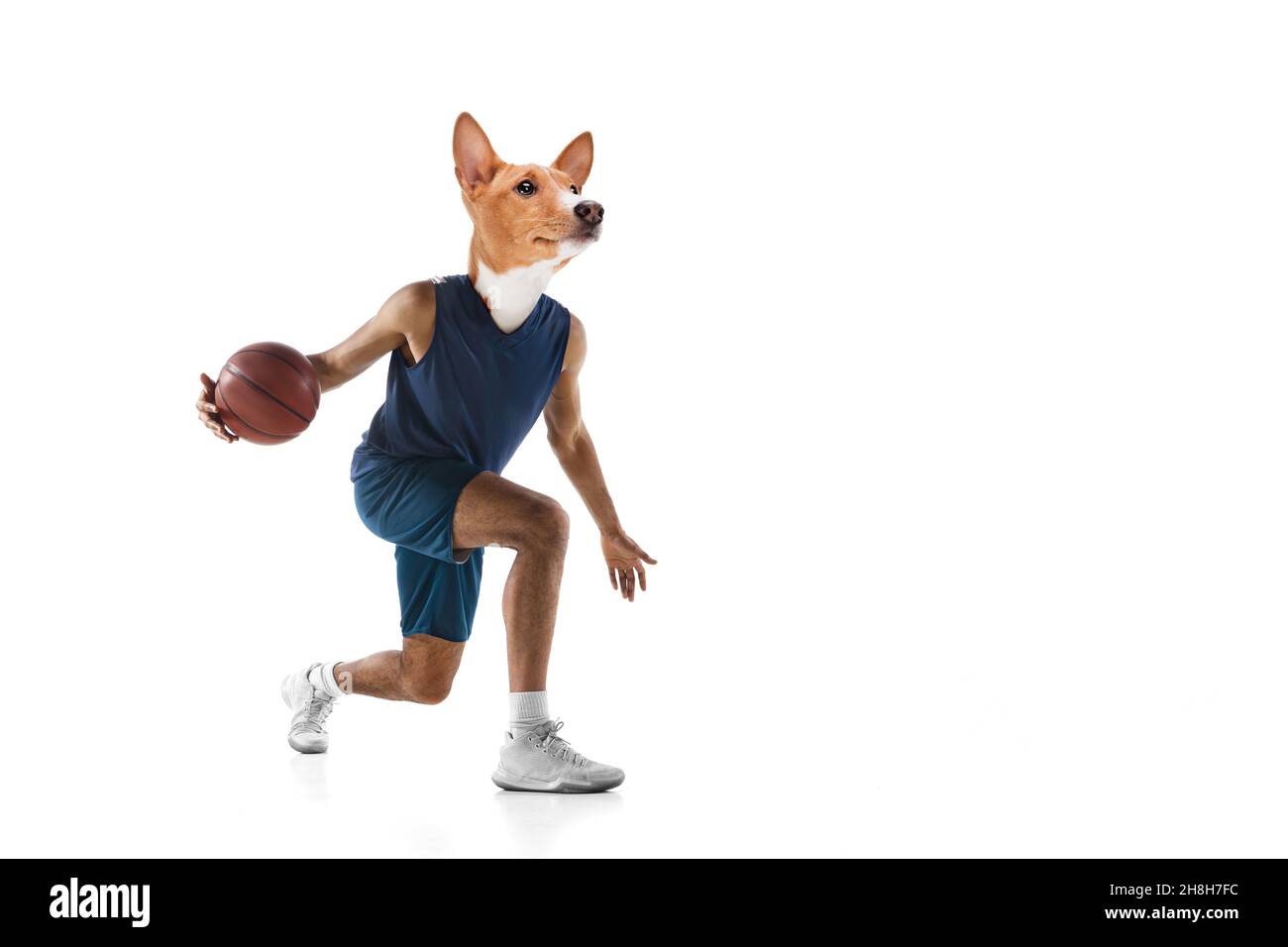 Œuvres d'art contemporaines, collage conceptuel.Jeune homme, joueur professionnel de basket-ball dirigé par la tête de chien.Surréalisme Banque D'Images