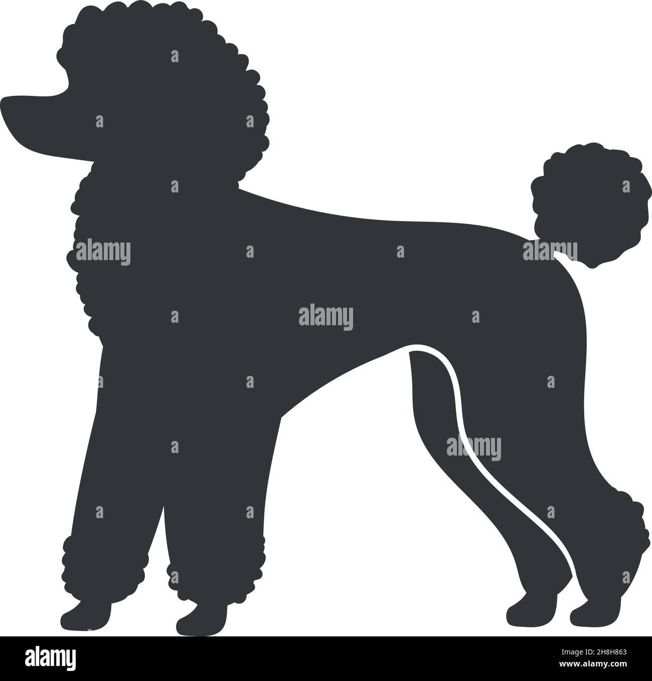 Silhouette de coodle.Chien domestique décoratif, icône vectorielle isolée sur fond blanc Illustration de Vecteur